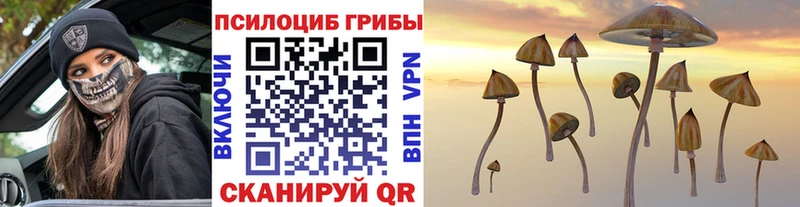 Галлюциногенные грибы прущие грибы  KRAKEN ONION  Гуково 