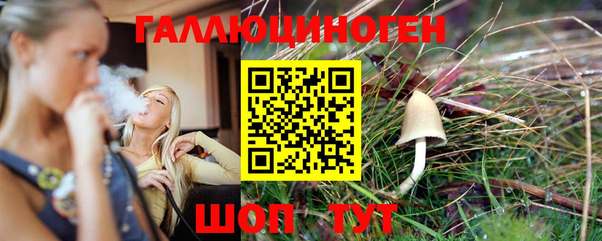 где купить наркотик  Галлюциногенные грибы мицелий  Гуково  Вход с VPN  Галлюциногенные грибы прущие грибы 