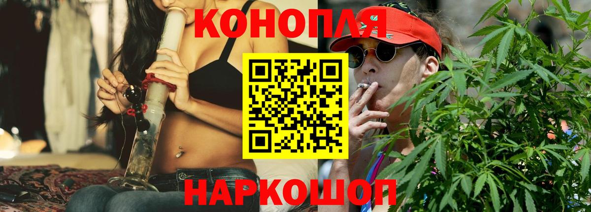 Каннабис OG Kush Гуково